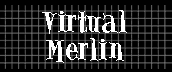 Virtual Merlin
